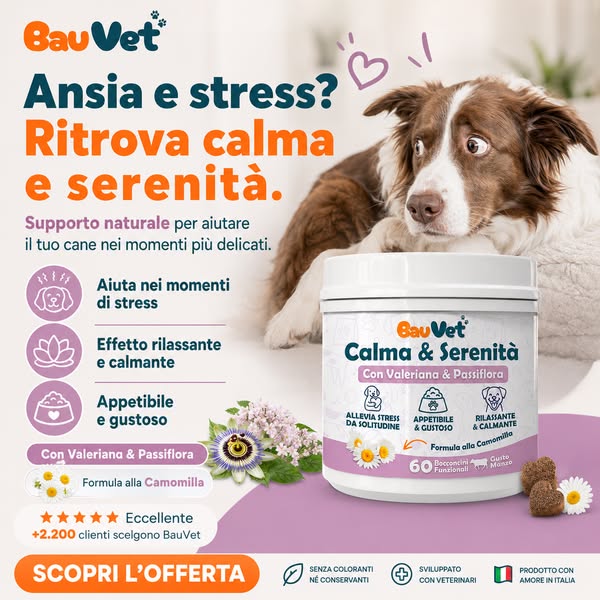Paga alla consegna