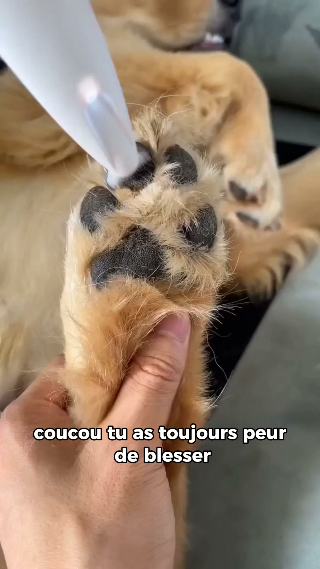 Jusqu'à -40% sur nos packs
