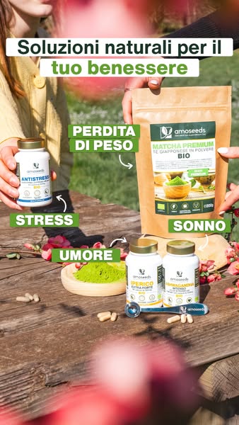 4,8 / 5 + 4.200 recensioni