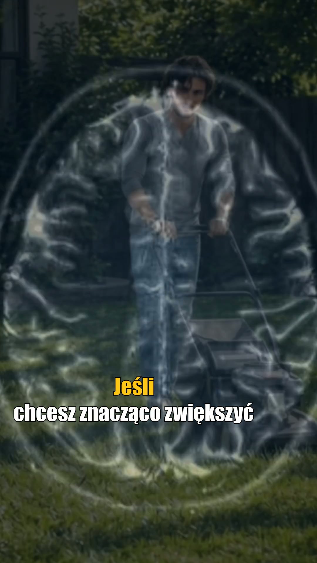 Kawa grzybowa Provitalis