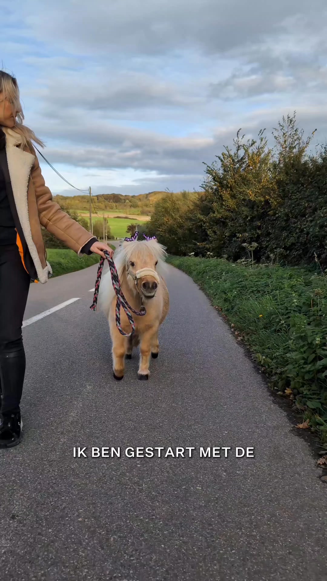 Ideaal voor paarden met een stevige manenkam (cresty neck), aanleg voor overgewicht