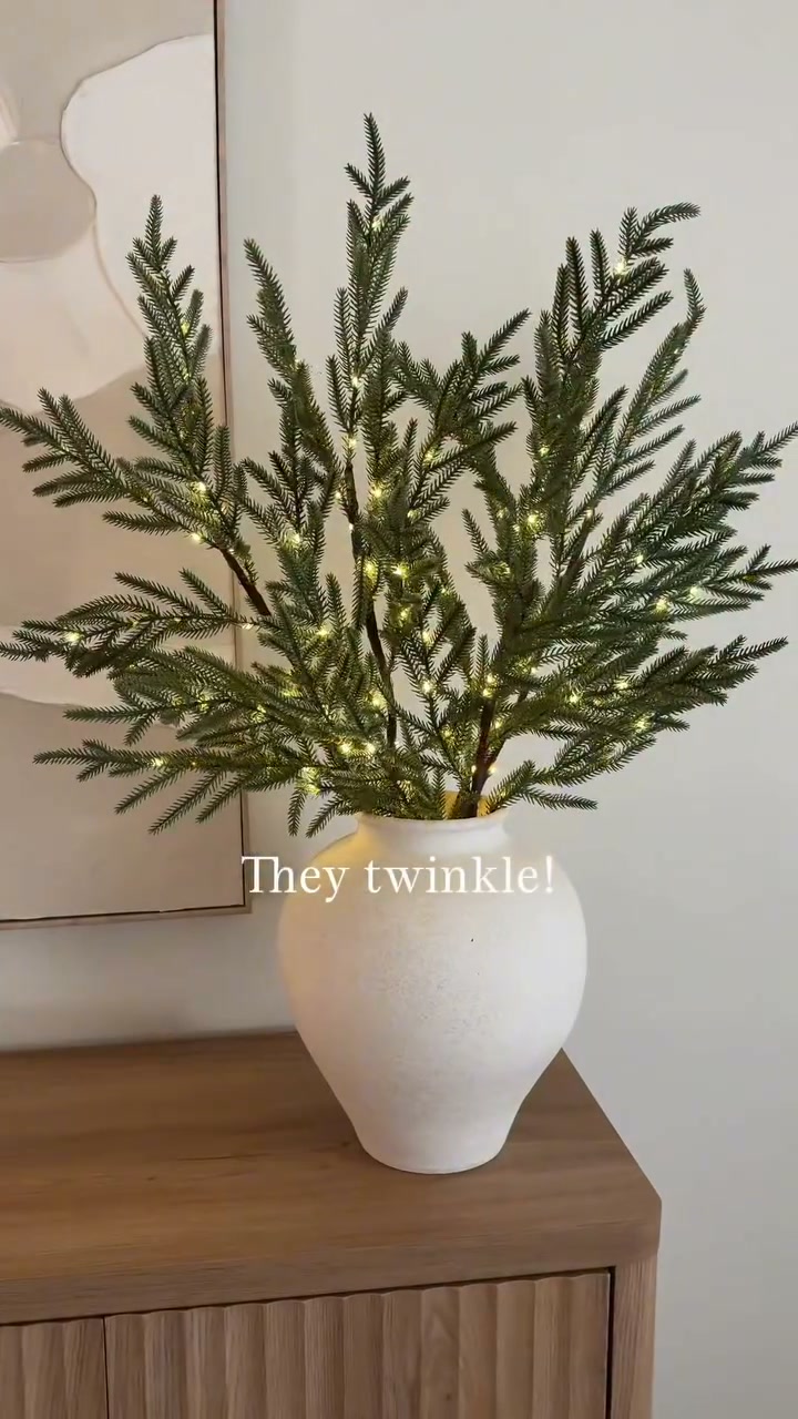 Bring Christmas Magic Home