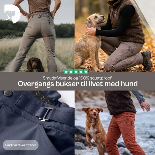 Designet til hundelivet. Stylet til hverdagen.