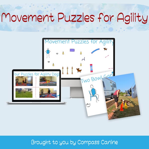 The skill every agility handler needs but nobody practises on course