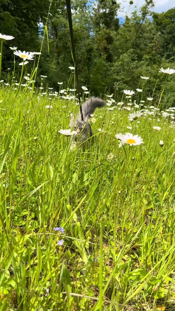Jouw foto, in goud gegraveerd