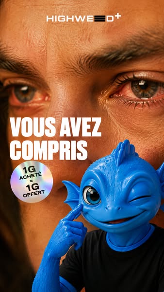 Tout doit disparaître