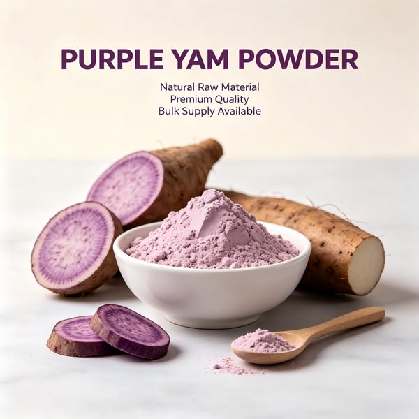 Source Ube Powder in Bulk