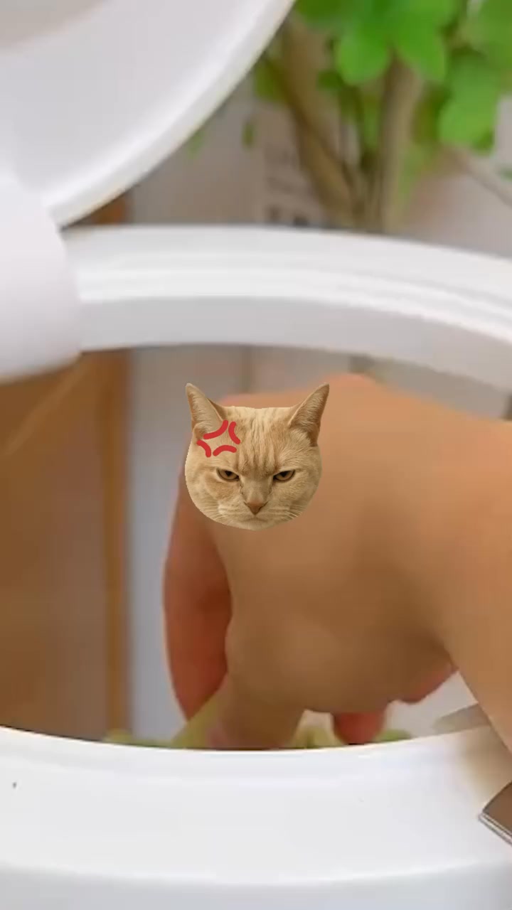 One Treat. Endless Cat Health Benefits.