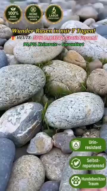 Sonderangebote