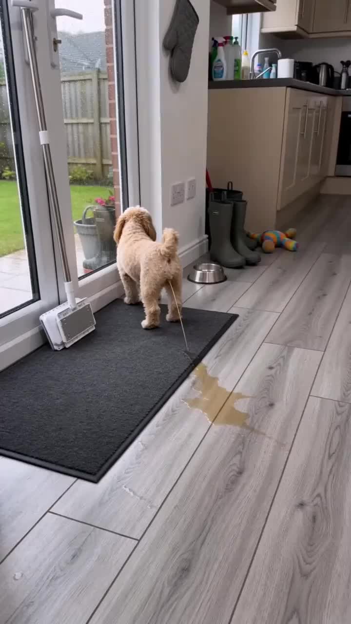 Click. Clean. Release. No Dirty Hands.