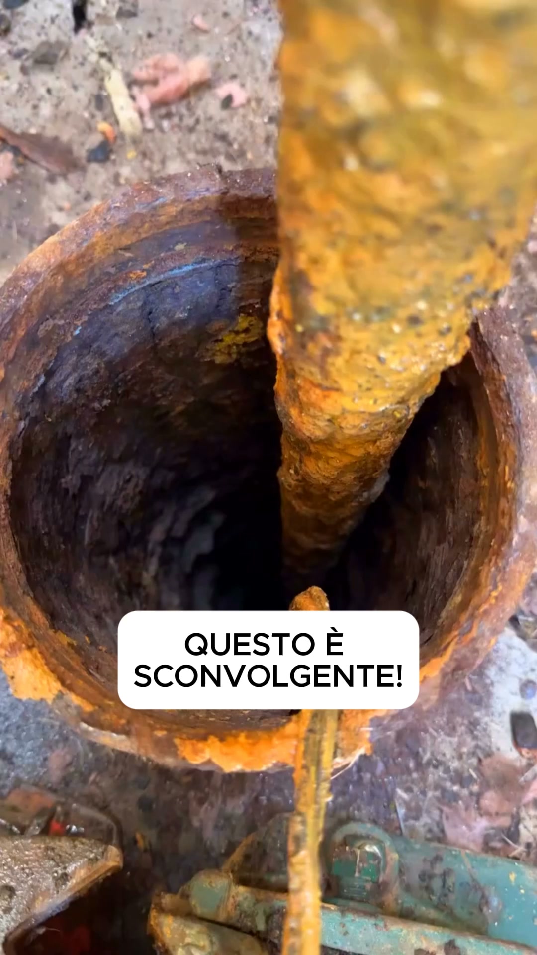 Spedizione Gratuita