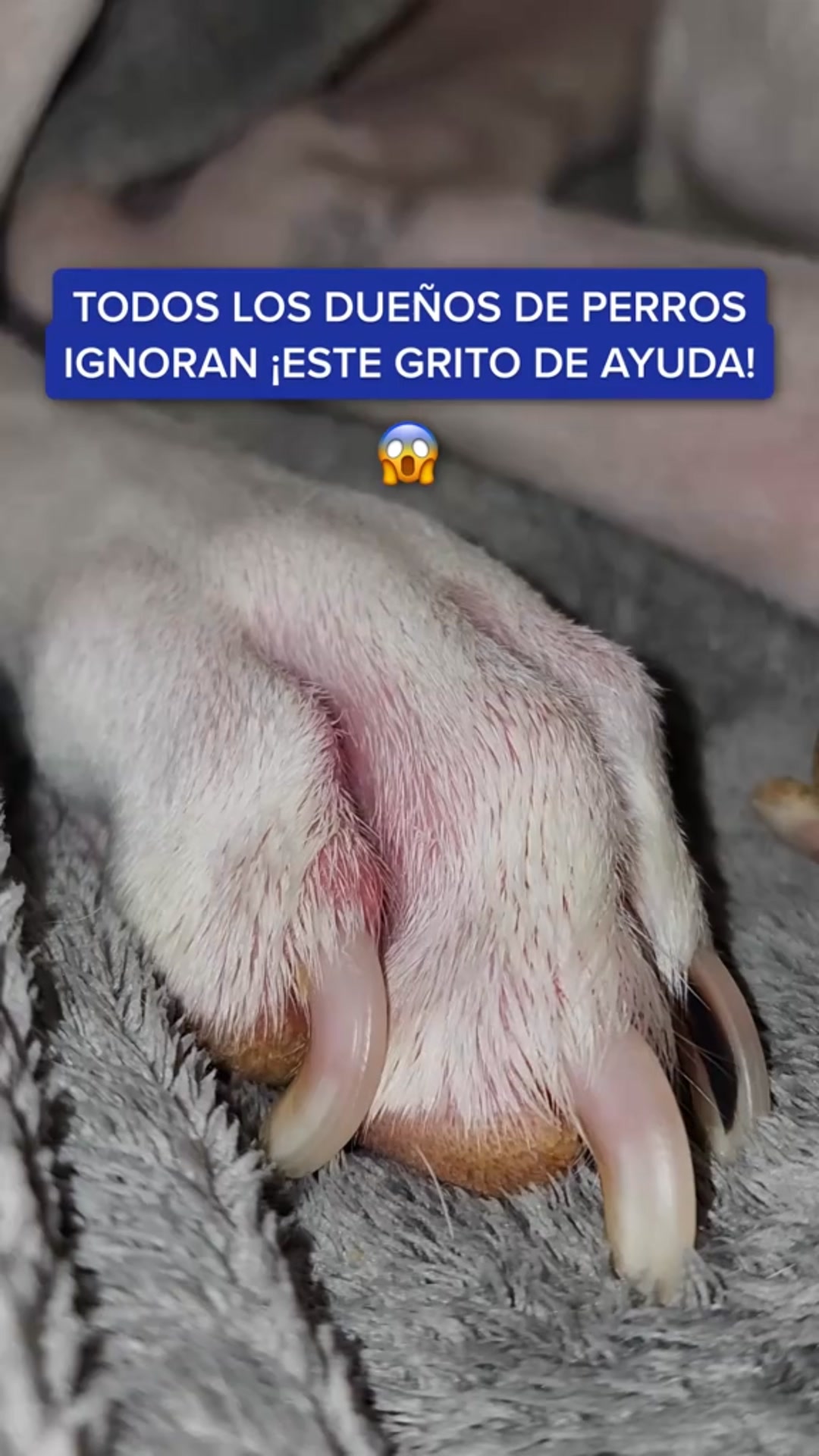 +100.000 clientes