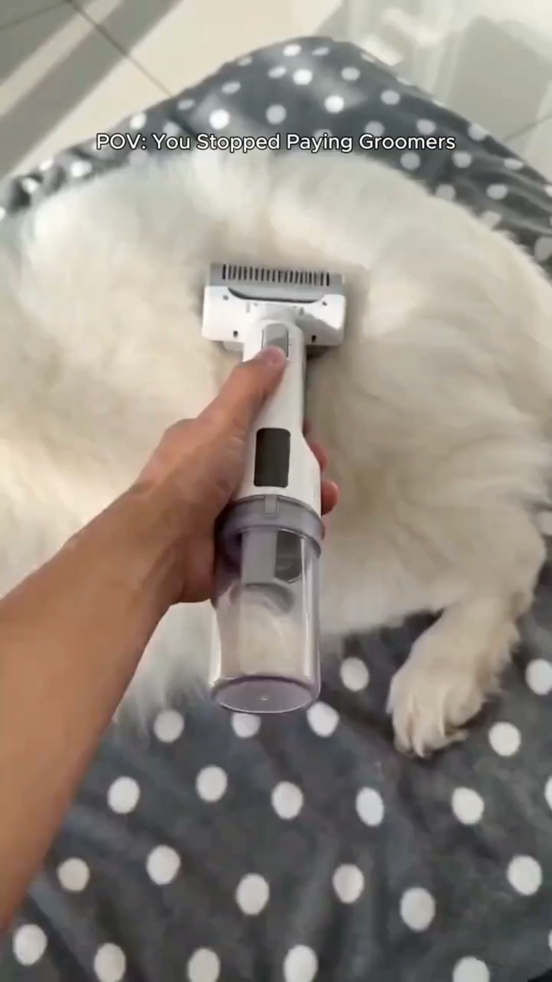Grooming Without the Cleanup