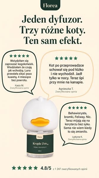 Jeden dyfuzor. 30 dni. Zero ryzyka.