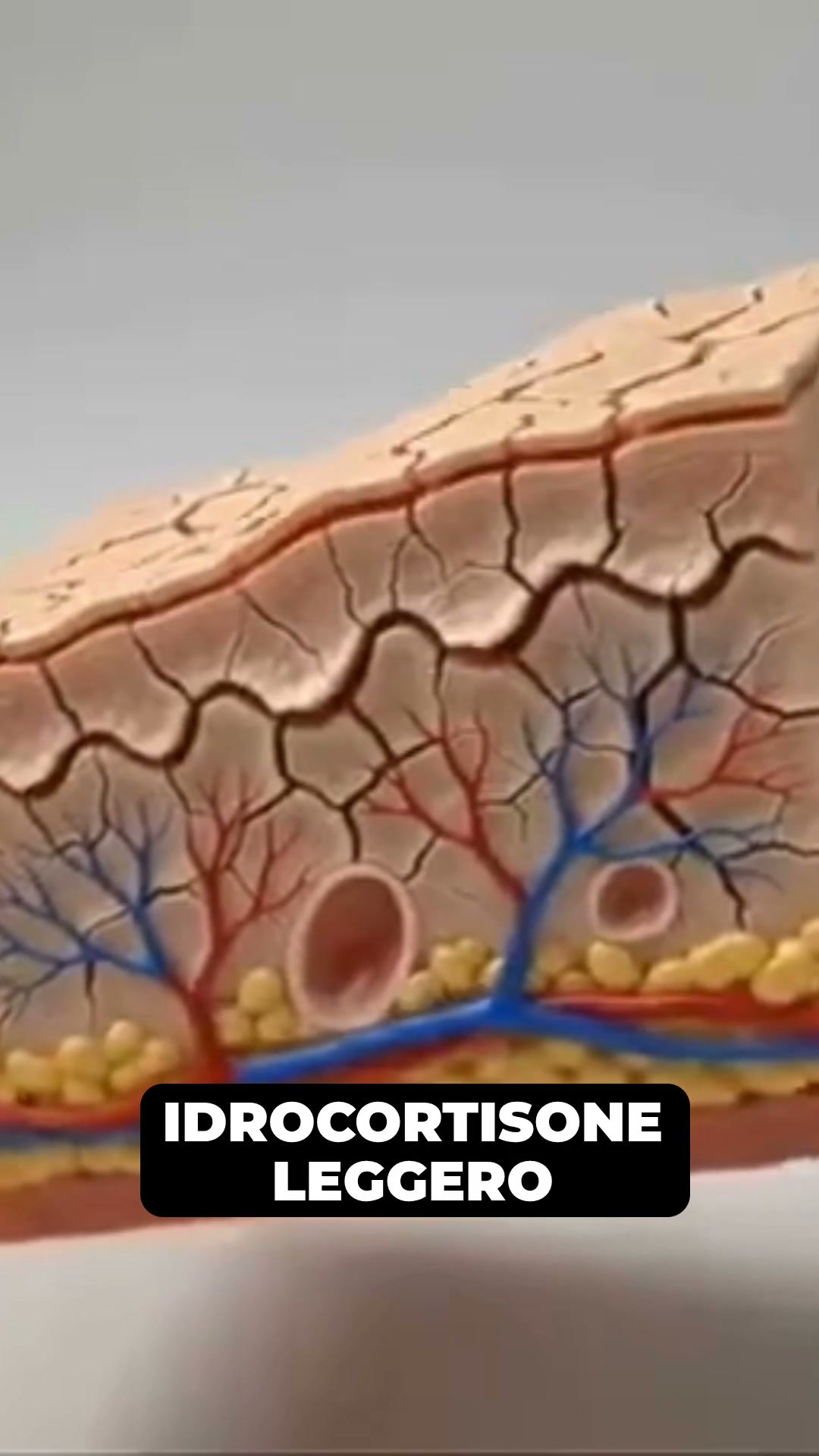 Il balsamo naturale che finalmente mette fine al prurito