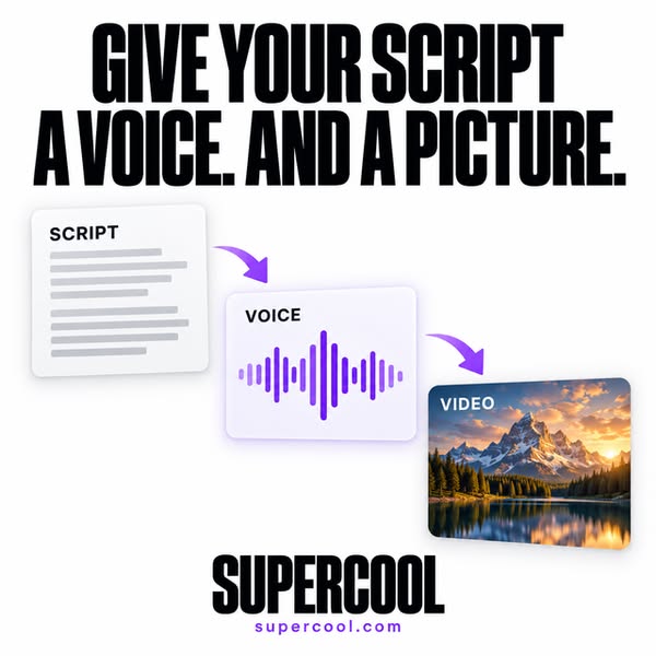 From Script to Finished Video