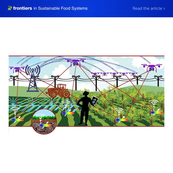 Read now | From profitability to trust: factors shaping digital agriculture adoption