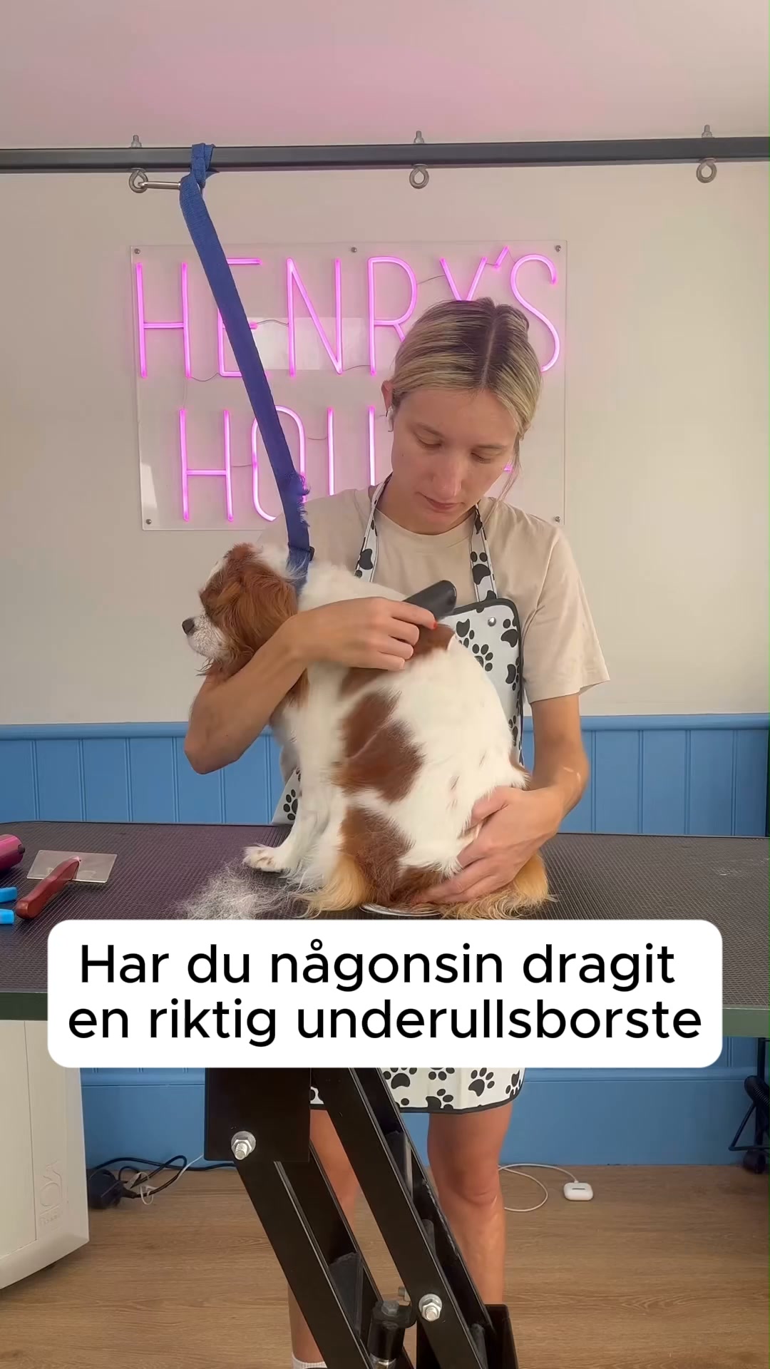 50% REA + FRI FRAKT