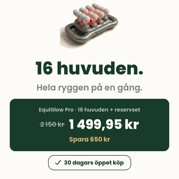 EquiGlow Pro: 16 huvuden, 1 499,95 kr
