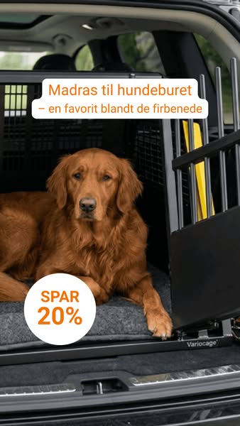 𝟐𝟎% 𝐫𝐚𝐛𝐚𝐭 𝐩𝐚̊ 𝐞𝐤𝐬𝐭𝐫𝐚 𝐤𝐨𝐦𝐟𝐨𝐫𝐭 𝐢 𝐛𝐮𝐫𝐞𝐭