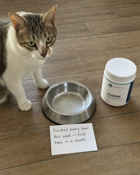 Six Days. Clean Bowl Every Time.