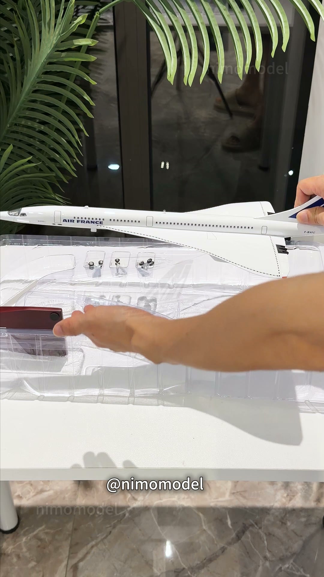 Air France Concorde | Modèle de Collection 1:125