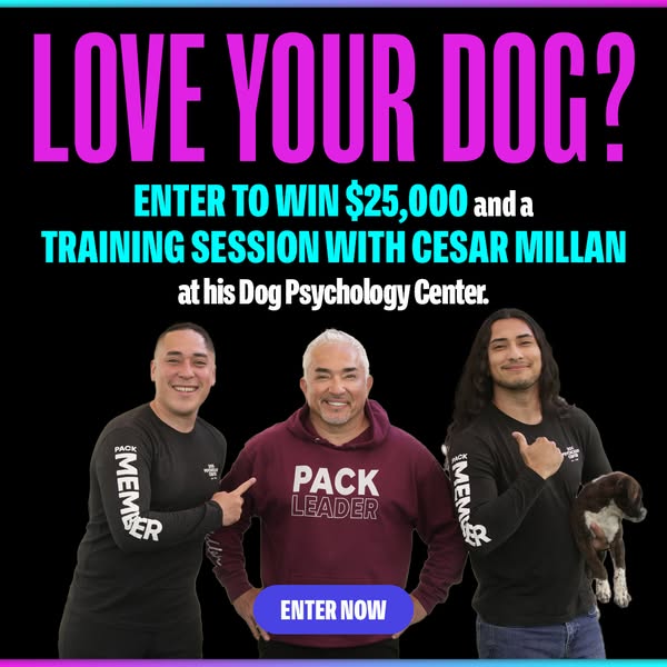 Win $25,000 and a Private Training Session with Me