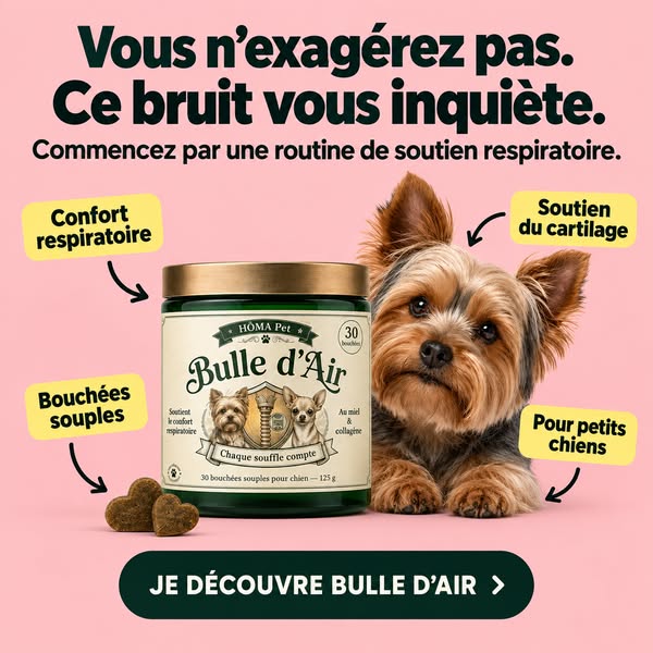 Vous n’exagérez pas. Ce bruit vous inquiète.