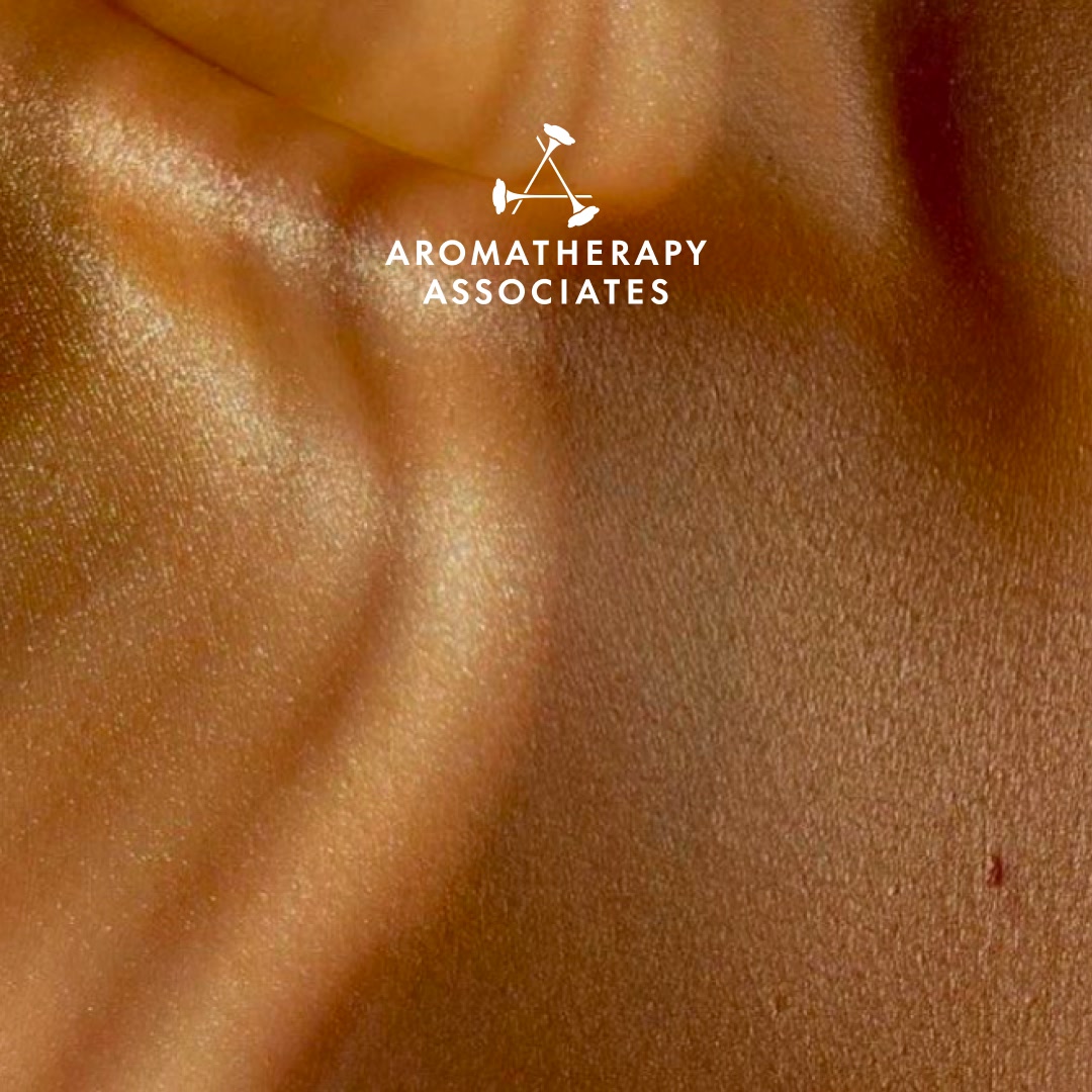 Award-Winning Relaxation On Us