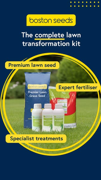 Transform Your Lawn