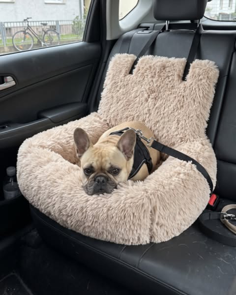 Trusted by 30,000+ dog owners