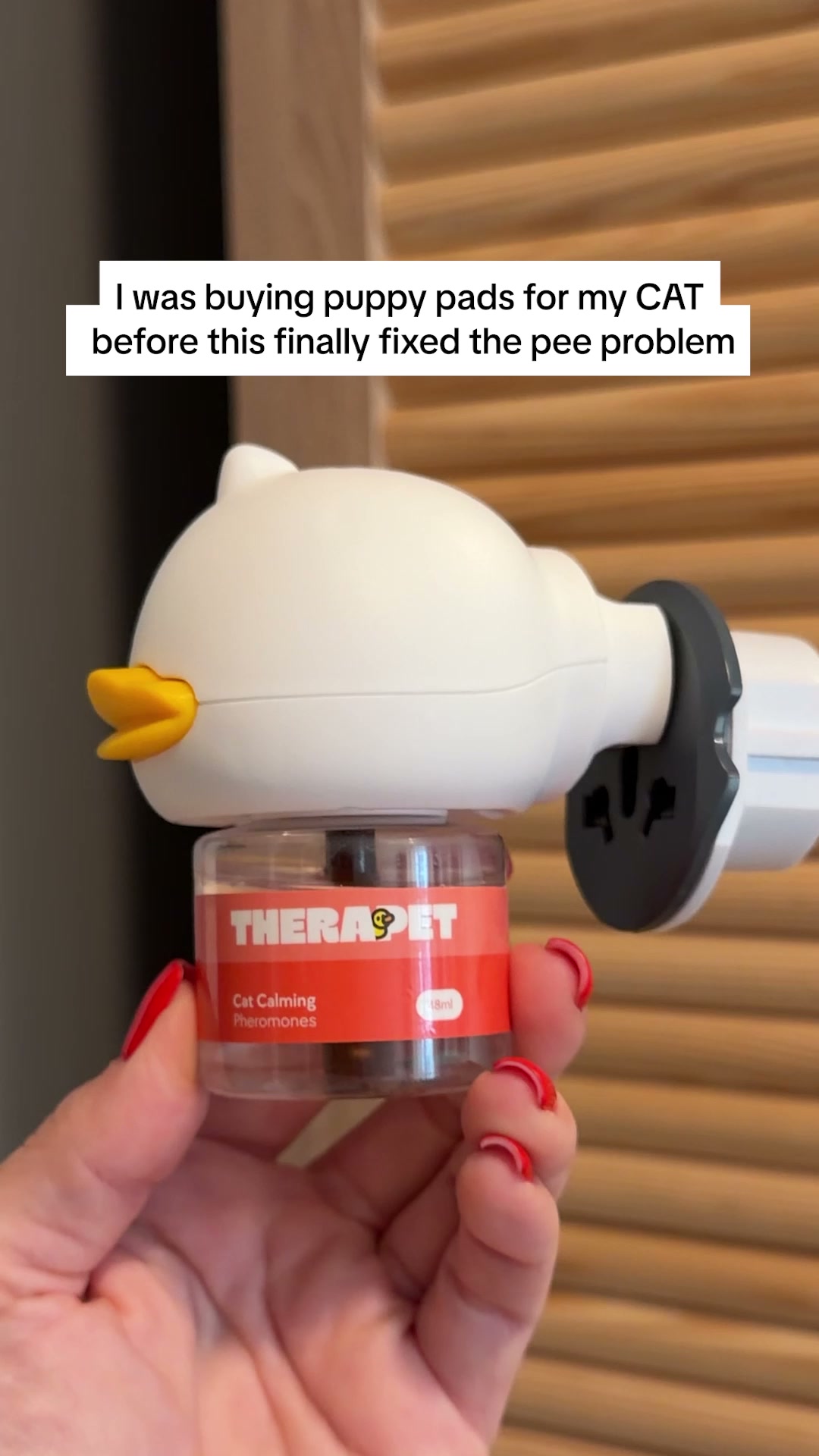 Help your anxious cats feel safe and calm