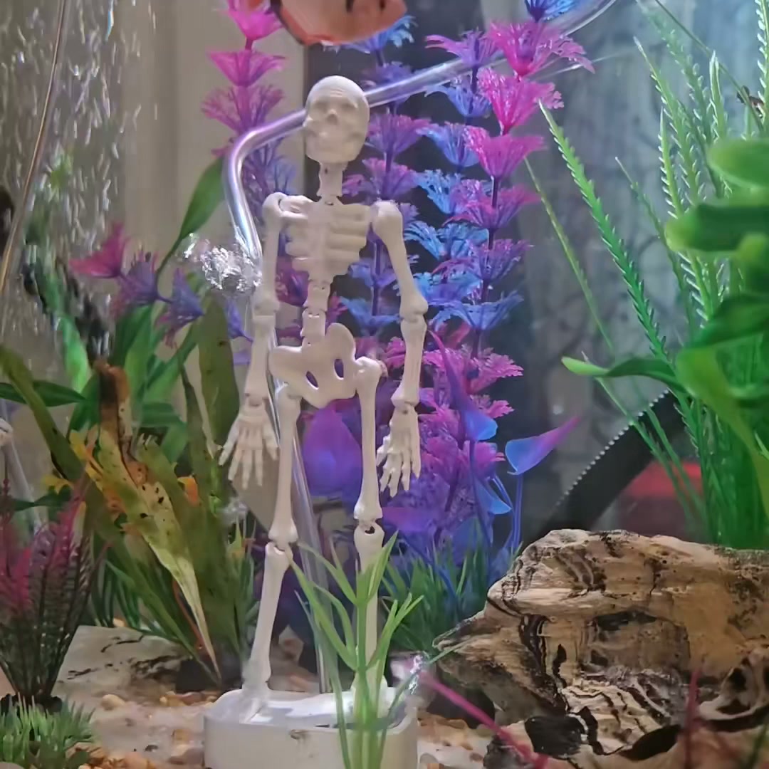 Make Your Fish Tank Come Alive