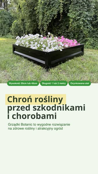 Darmowa dostawa