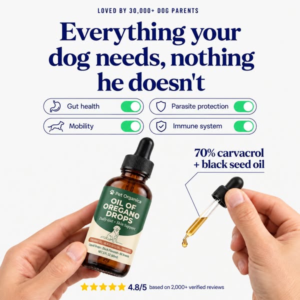 60% off + 2 free gifts, ends tonight