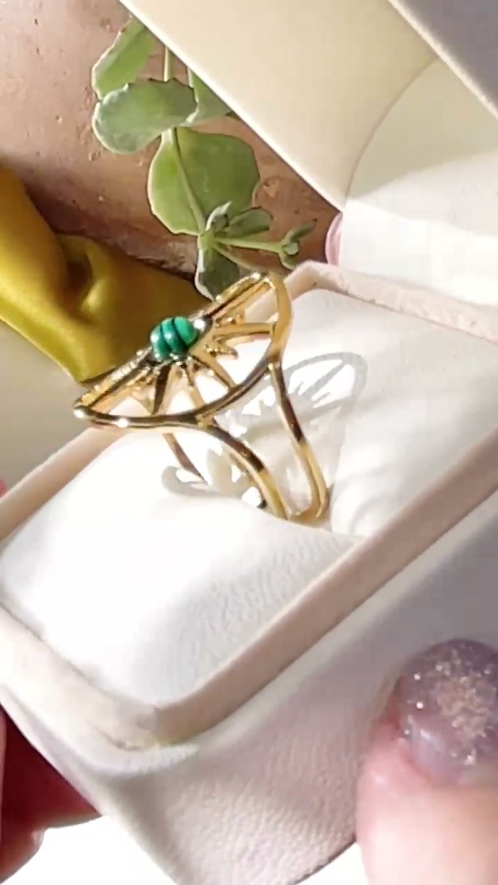 Anello Malaki: Protezione e Guida