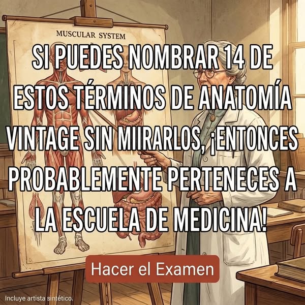 ¿Cuánto Sabes De Tu Propia Anatomía?