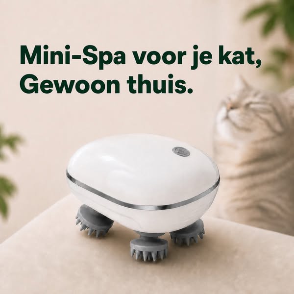 Ontspanning? Ontdek de actie