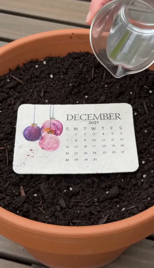 Eco-Friendly Plantable “Timeless” Seed Calendar 2027