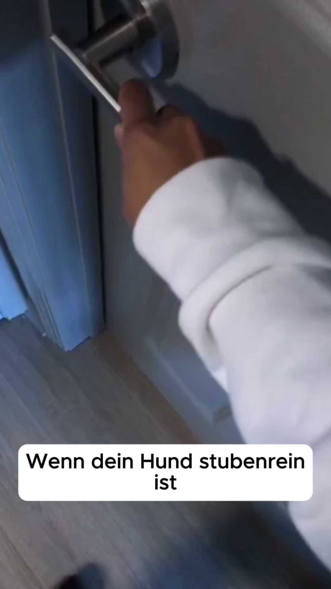 Der nasse Fleck im Hundebett?
