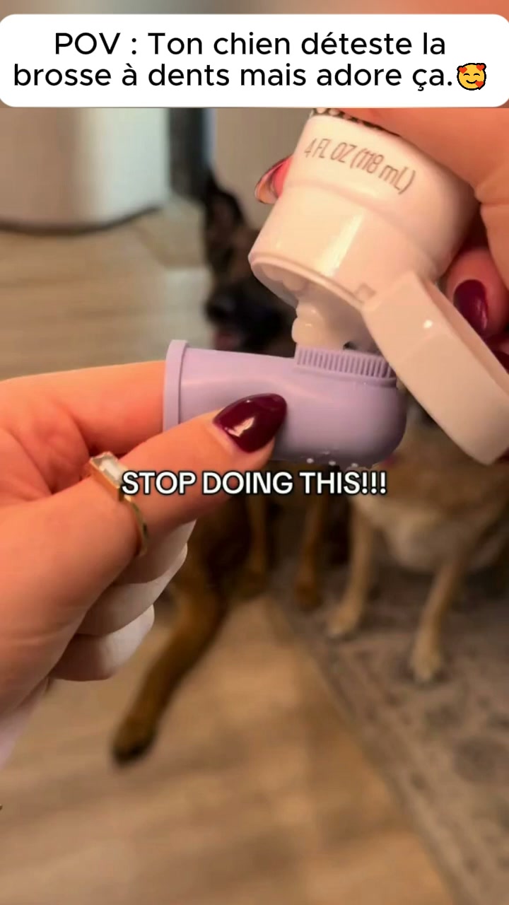 Enfin une routine dentaire que ton chien accepte