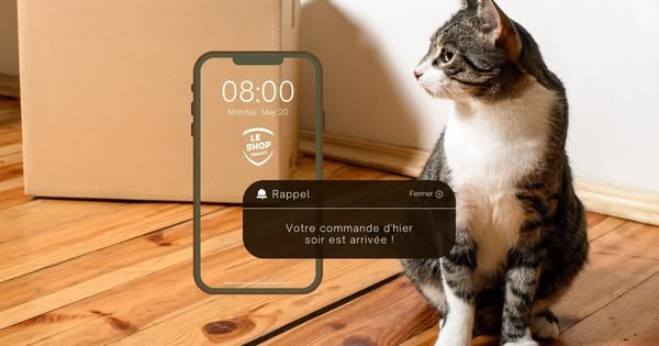 Conseil et suivi professionnel