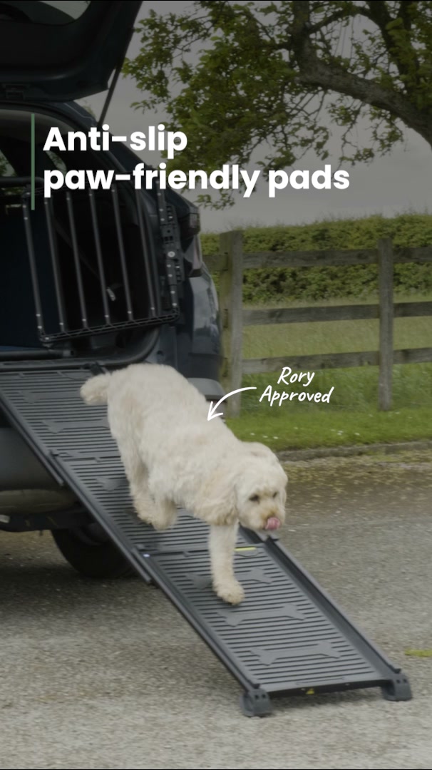 Enjoy safer adventures with Travall
