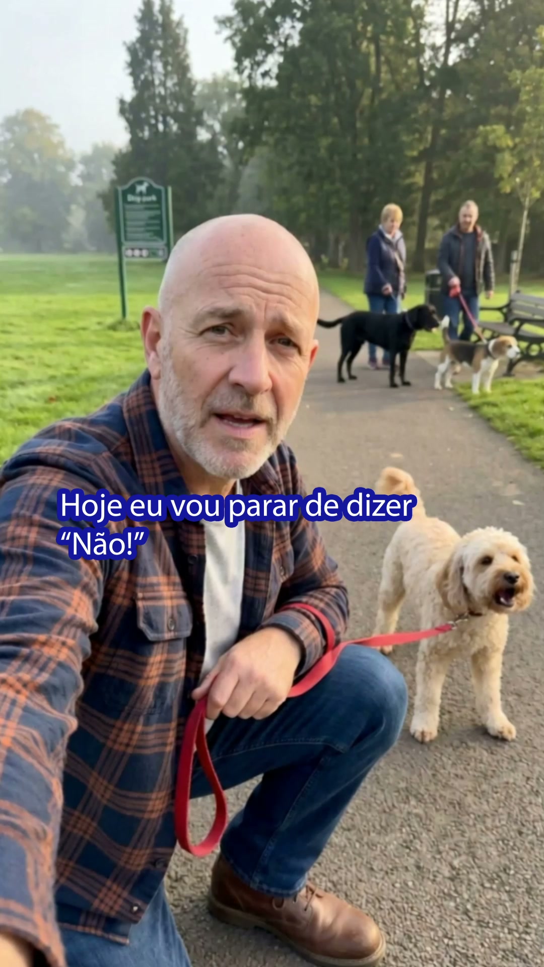 Comece a rotina de boas maneiras para cães pequenos ▶