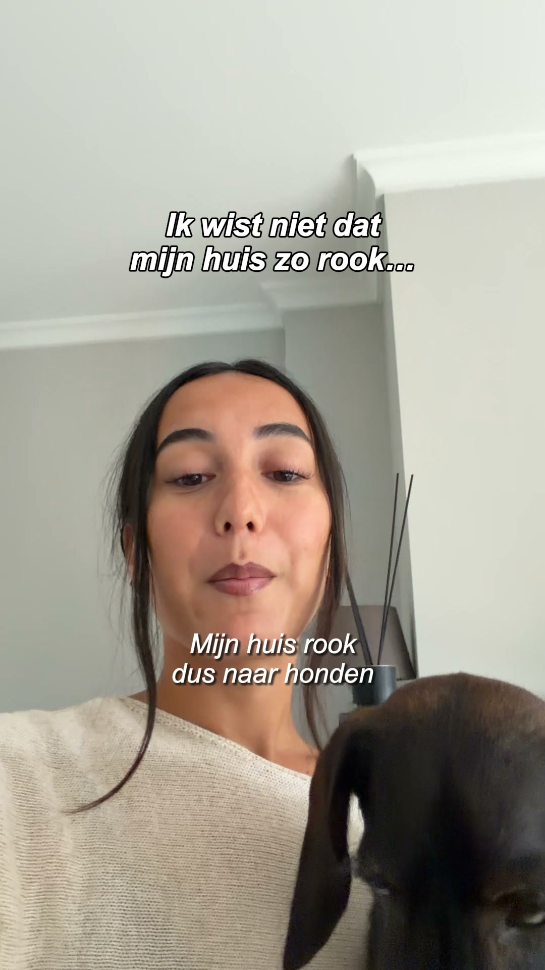 Hou je huisdier . Weg met de huisdiergeur.