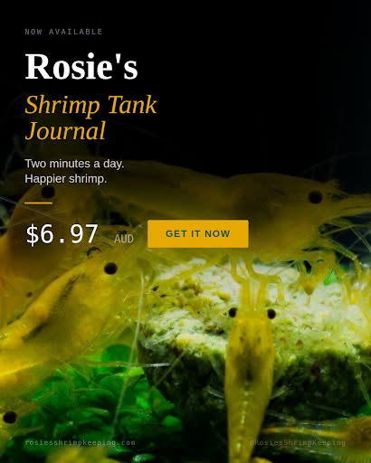Shrimp Tank Journal. Buy Now!