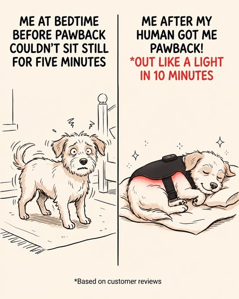 Turn Bedtime Into Recovery Time