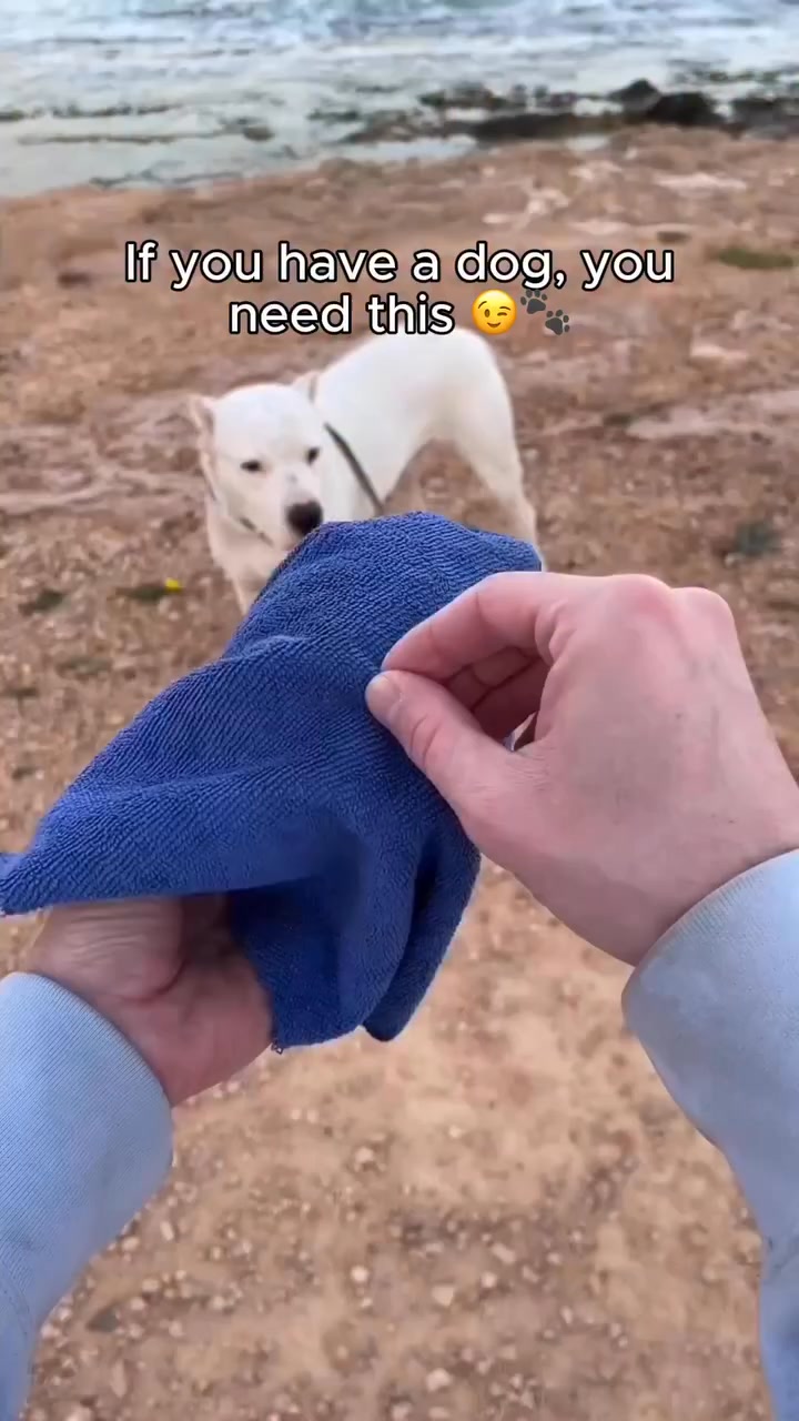 Good dog moms carry this on every walk.