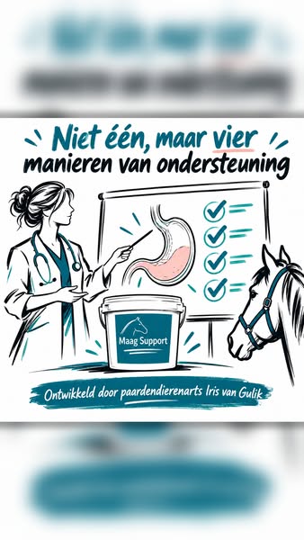 Ondersteun van binnenuit