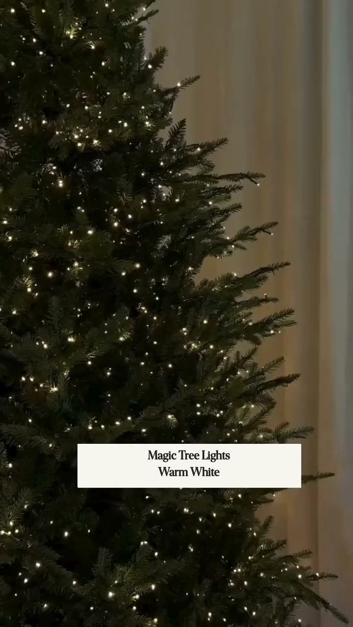 Limited stock for Christmas, get yours today